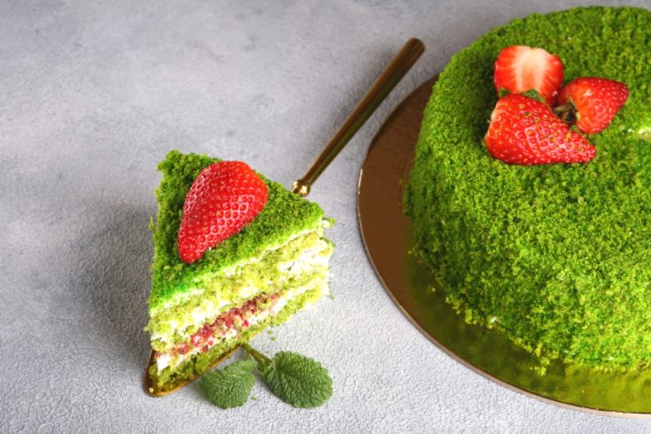 MOSS CAKE